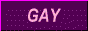 880GAY.GIF (9050 bytes)